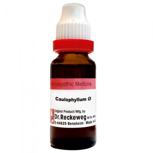 Caulophyllum