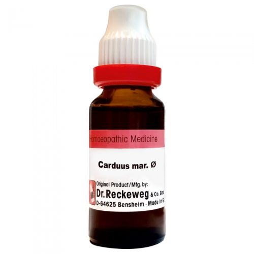 Carduus mar